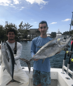 Two Blackfin Tuna, a big catch in FL