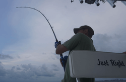 Scenic view of the coastline in FL