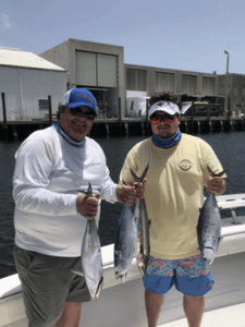 3 fish caught in FL during cruises and fishing