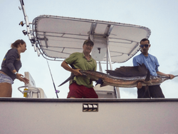A group of 3 people enjoying a fishing trip in FL