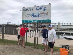 Best great fishing in TX
