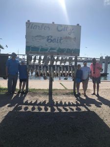 Fishing display board showing multiple caught fish hanging from Harbor City Bait sign in Aransas Pass TX