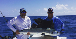 A big Atlantic Sailfish caught off the coast of FL