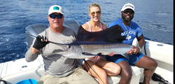 Impressive Atlantic Sailfish catch in Florida