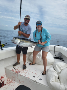 Blackfin Tuna, a big fish caught in FL