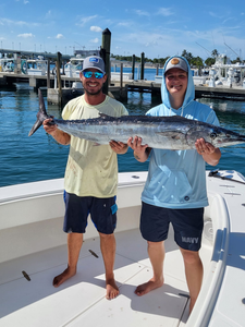 Blackfin tuna caught during cruises and fishing in West Palm Beach