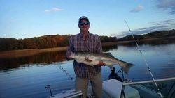 Striped Bass from Lake Murray, South Carolina 