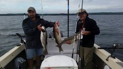 Striped Bass from Lake Murray, South Carolina 