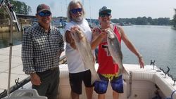 Striped Bass from Lake Murray, South Carolina 