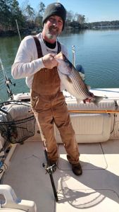 Striped bass caught in Gaston