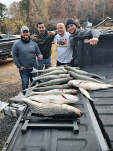 Tackling trophies at Lake Murray!