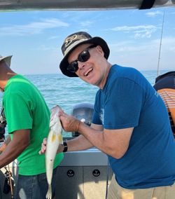 Classic catch! Sea trout landed offshore with friends.