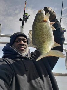 Bass fishing in Detroit River