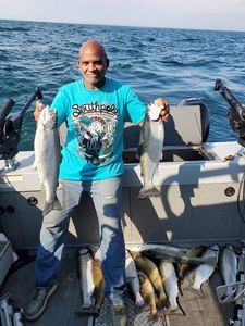 Abundant Fishing In Lake Erie