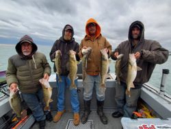 Lake Erie walleye charters, Great Lakes 