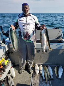 Nine great barracuda fish caught in Detroit