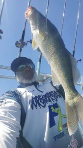Fishing in Detroit, a best and great catch