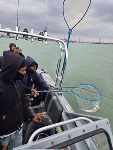Three people enjoying a day of fishing in Detroit