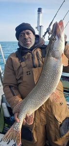 One angler fishing in MI
