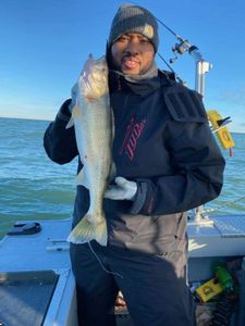Pike-Perch fish caught in MI