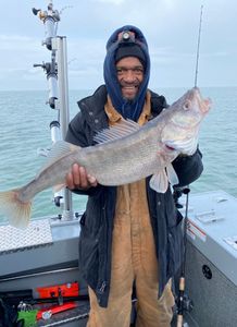 Angler with a large pike-perch fish in Detroit