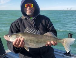 Pike-Perch fish caught in MI