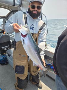 Rainbow trout caught while fishing in Detroit