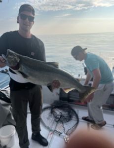 Salmon action heating up! 