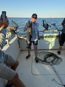 Fishing for a pink salmon in NY