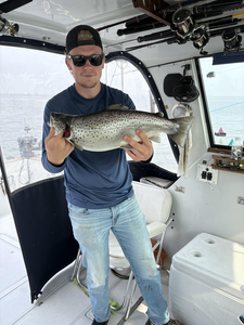 Reeled in a sea trout while trolling light tackle in the afternoon
