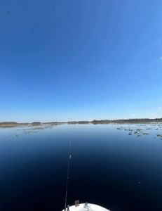Explore Hernando’s fishing hotspots