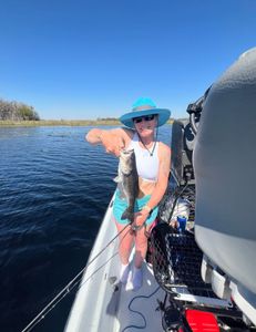 Bass fishing action in Hernando, FL