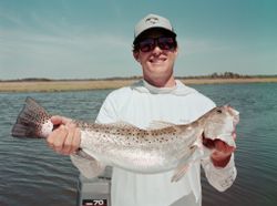 Trout in Chesapeake Bay