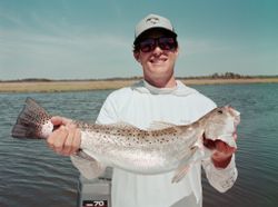 Spotted Weakfish, 20 inches, caught in Salisbury