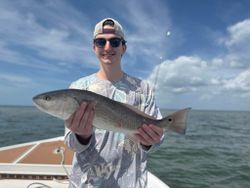 Displaying a redfish catch on a sunny day.