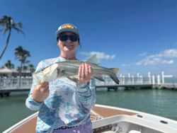 Holding a snook with a clear blue backdrop.