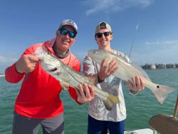 Snook and redfish!