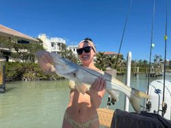 Snook catch with a sunny backdrop!