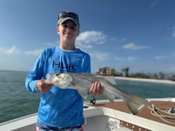 Young angler with a snook catch!