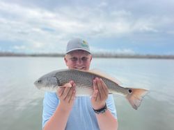 Redfish delight