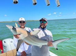 Two anglers with a big 31-inch catch in FL