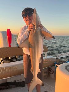 Photograph of a Blacktip Shark caught while fishing in Cape Coral