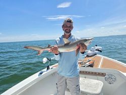 Bonnethead shark caught while fishing in Cape Coral