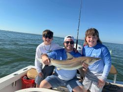 A bull shark caught while fishing in Cape Coral