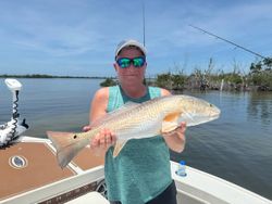 Redfish catch displayed on fishing boat in Cape Coral FL waters