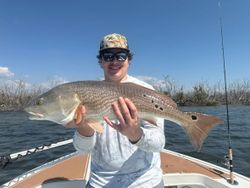 Redfish caught while fishing in Cape Coral FL