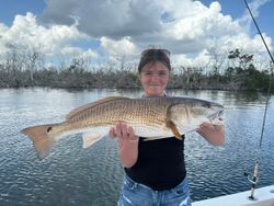 Redfish caught while fishing in Cape Coral FL waters