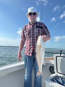 Redfish caught while fishing in Cape Coral FL waters from boat deck