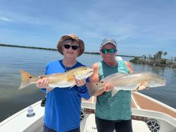 Two redfish caught while fishing in Cape Coral FL waters from boat