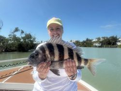 Sheepshead fish caught while fishing in Cape Coral FL
